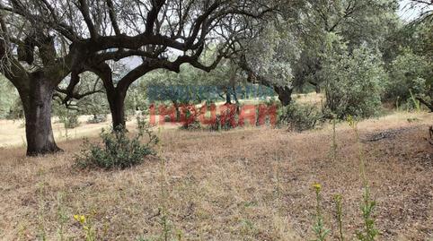 Foto 4 de Casa o xalet en venda a Casas del Castañar, Cáceres