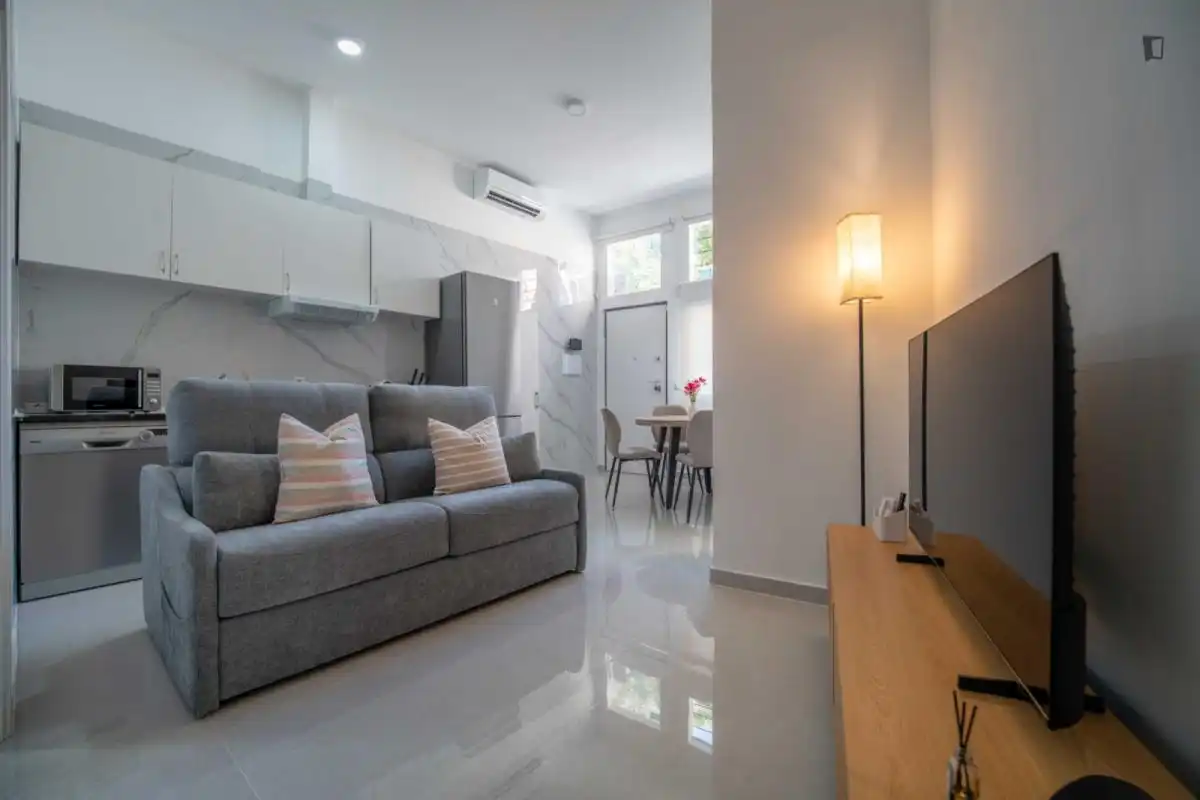 Sala d'estar de Apartament de lloguer en Puente de Vallecas