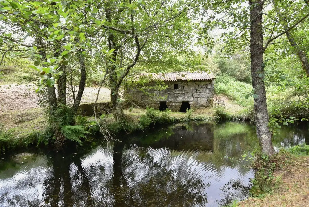Vista exterior de Casa o xalet en venda en Mondariz amb Jardí privat, Terrassa i Traster