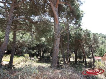 Terrenys i solars en venda a L'Ametlla del Vallès