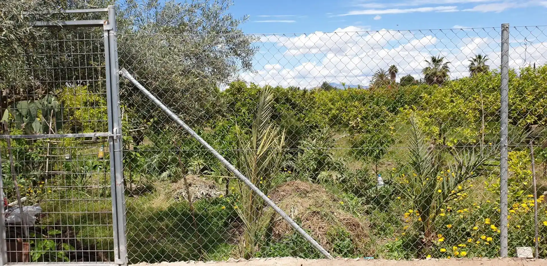 Casa o xalet en venda en  Murcia Capital