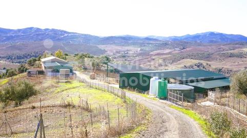 Photo 4 of House or chalet for sale in Poligono 8 Paraje 167 Pelaez, Periana, Málaga