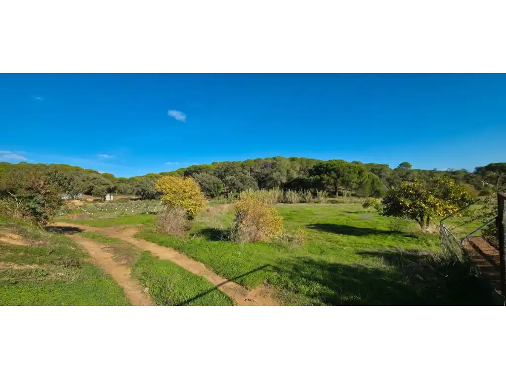 Terreni e lotti in vendita a Villablanca, imagen 2