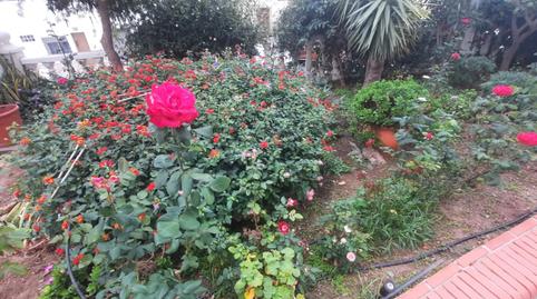 Photo 4 of Planta baja for sale in El Bajondillo, Málaga