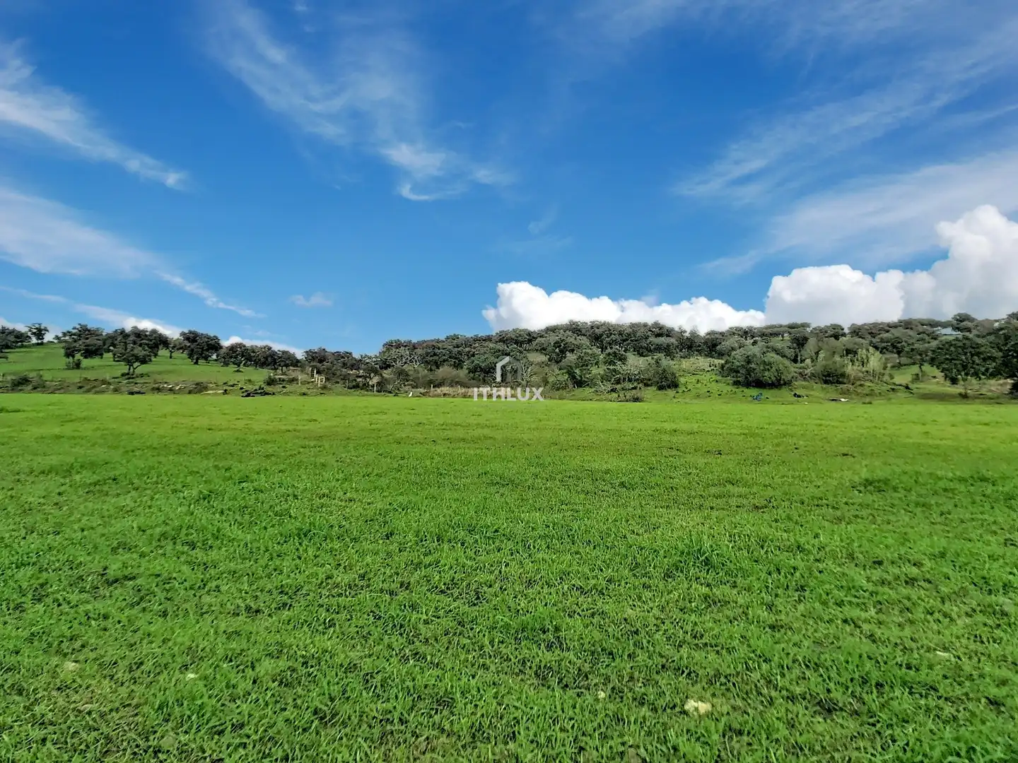 Finca rústica en venda en La Codosera