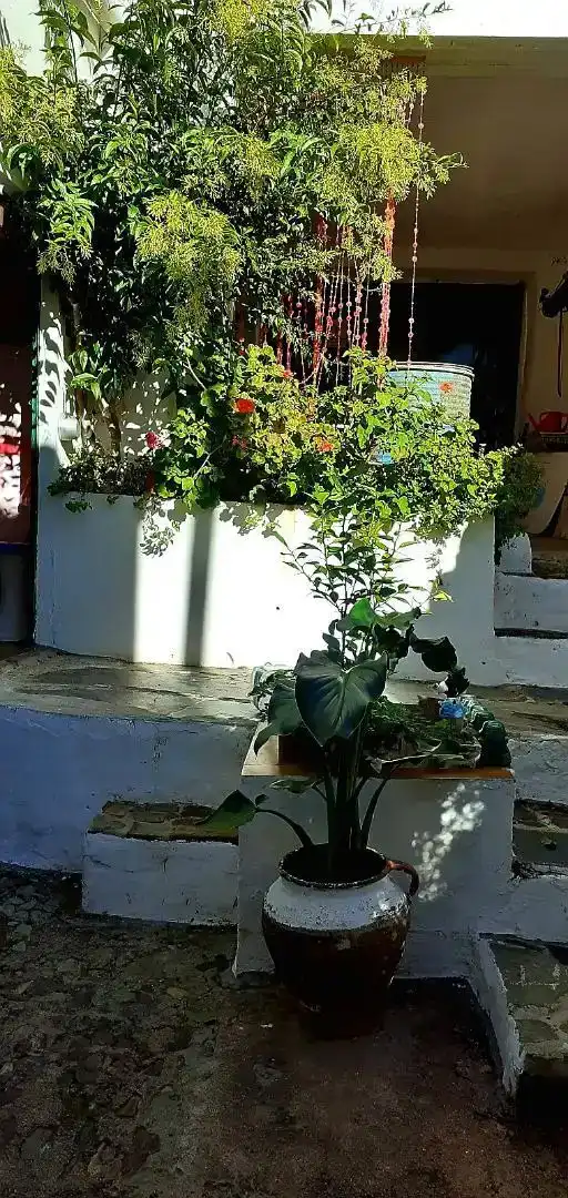 Terrassa de Finca rústica en venda en Aracena amb Balcó