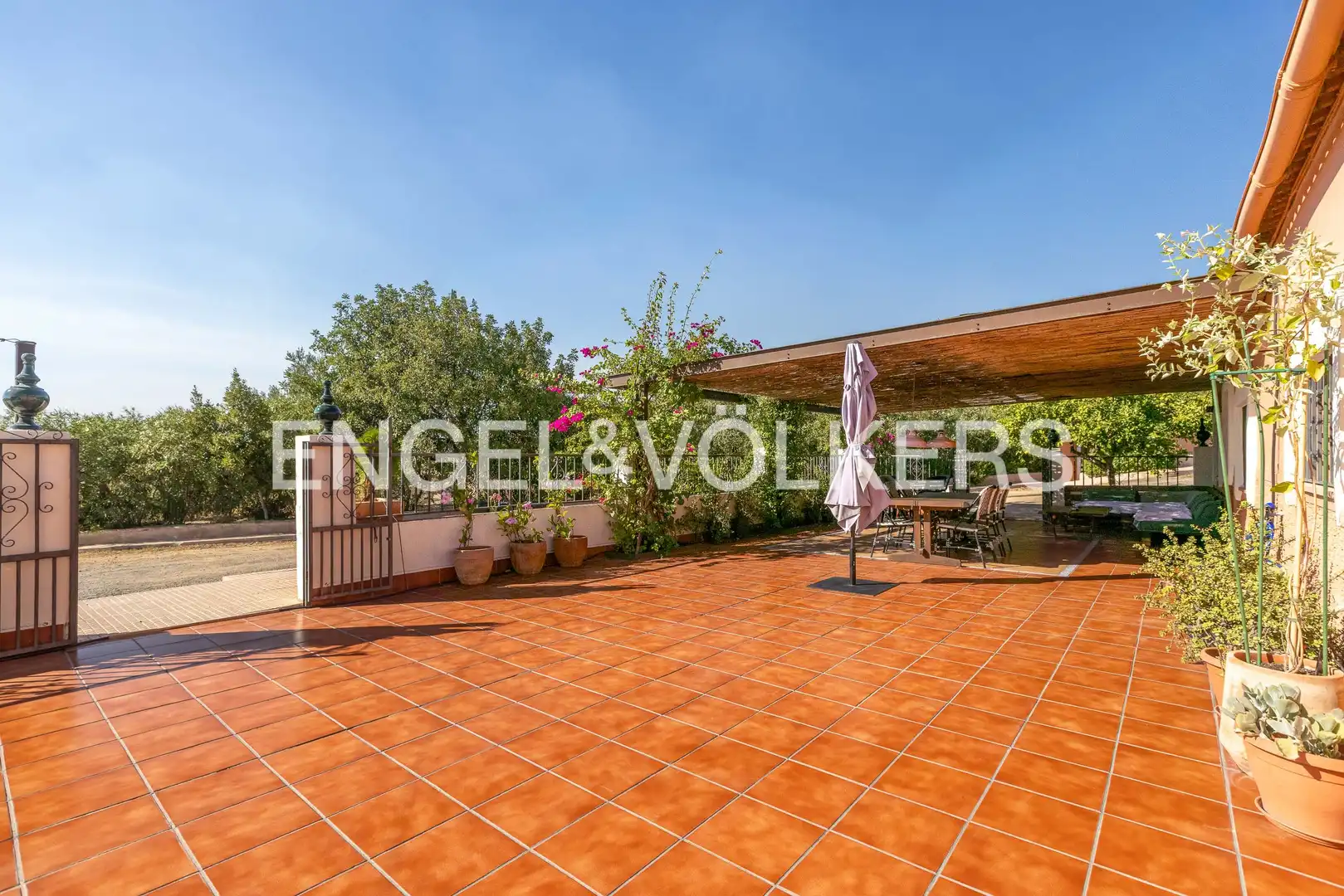 Terrace of Country homes for sale in Calañas, Huelva