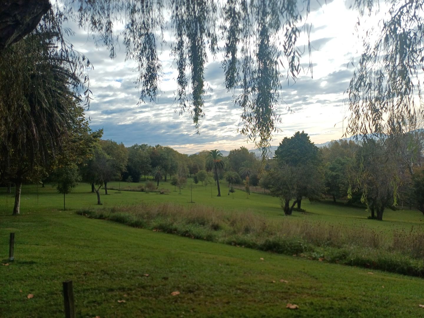 Jardí de Oficina de lloguer en Santander amb Terrassa i Balcó