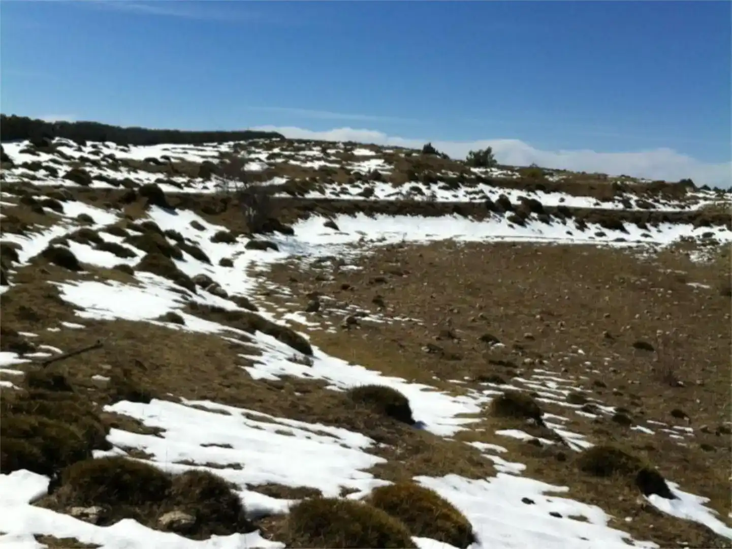 Terreno en venta en Mosqueruela