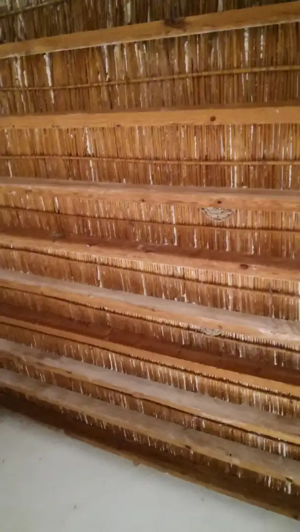 Casa rústica amb jardí en venda a Pasaje los Pinos, imagen 3