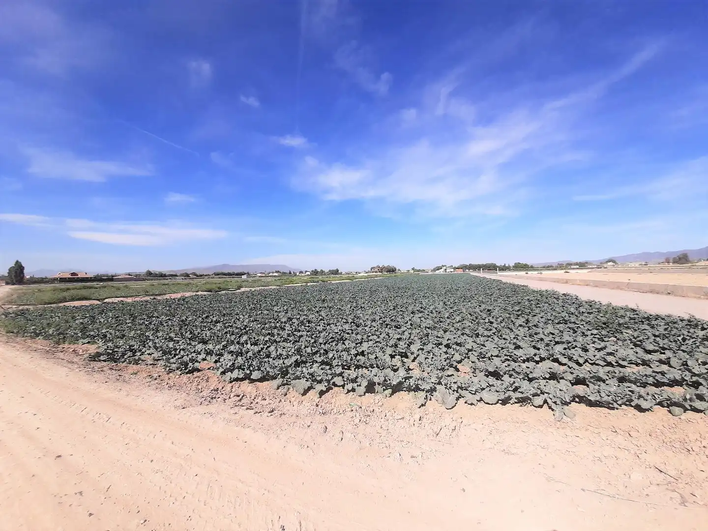 Terreny residencial en venda a Pedanías Centro, imagen 2