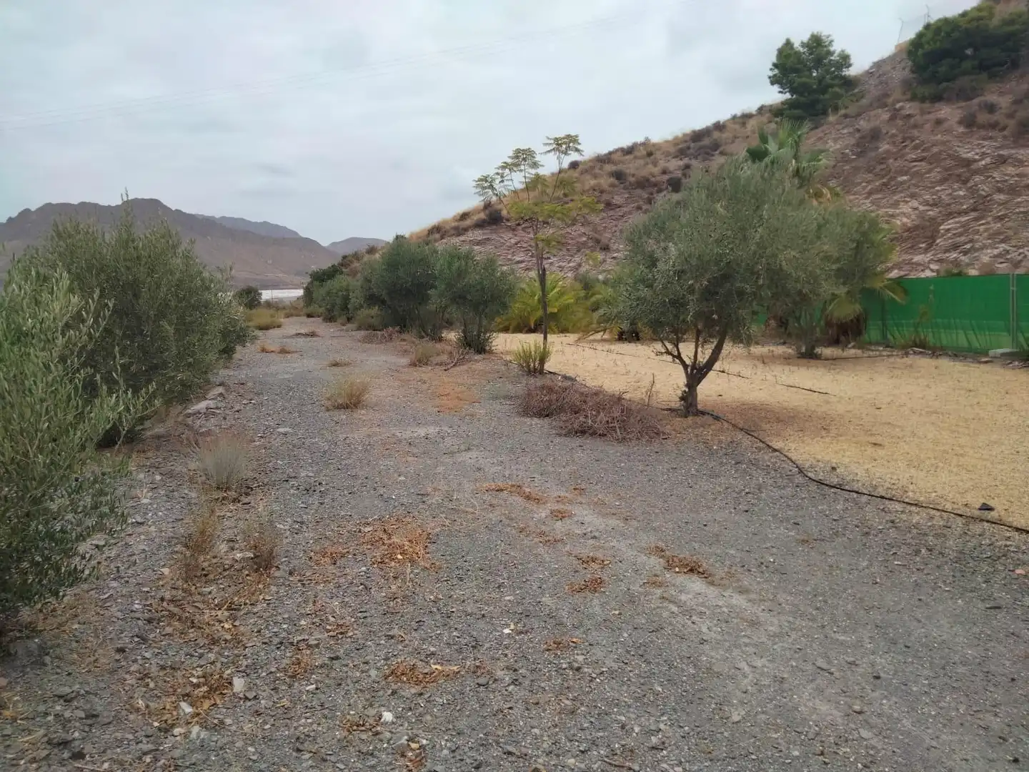 House with pool for sale in Las Lomas - Las Yucas, imagen 16