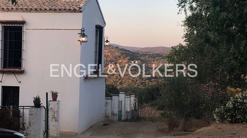 Foto 4 de Finca rústica en venda a Constantina, Sevilla