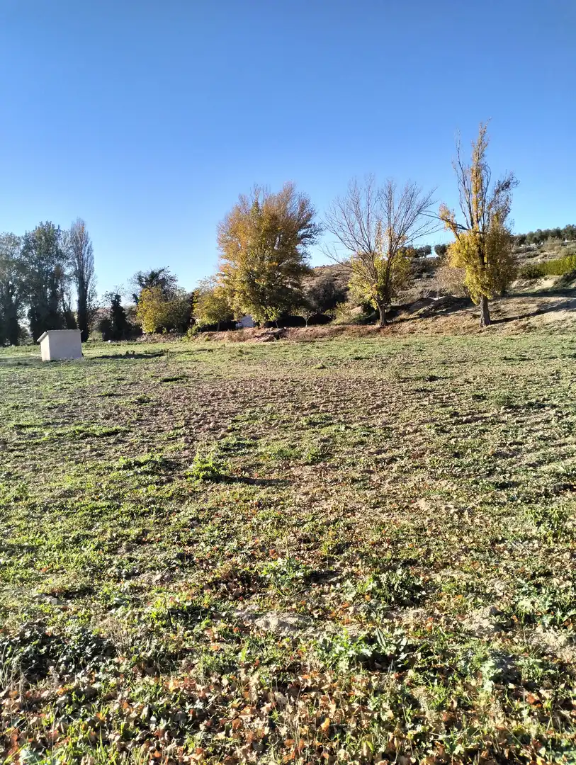 Terreno rustico in vendita a N/A