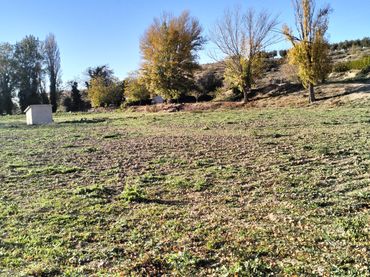 Terreno rustico in vendita a N/A