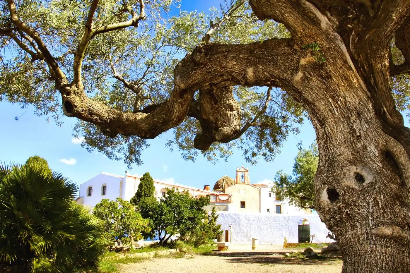 Terreno residenziale in vendita a Carrer de les Oliveres 7, imagen 15