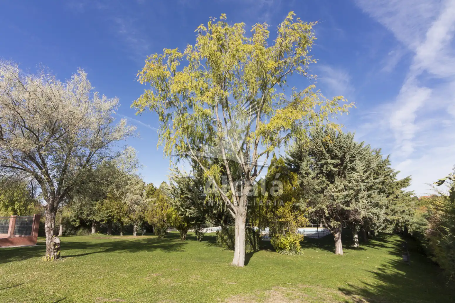 Terrenos y solares en venta en Hontoba, imagen 35