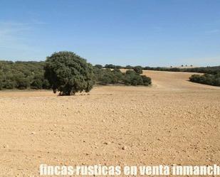 Land for sale in Belmonte