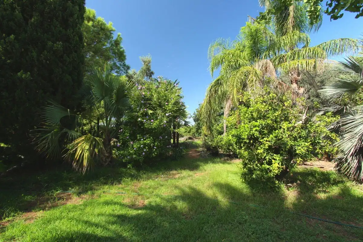 Houses for sale in La Pedrera - Vessanes