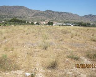 Land for sale in Salinas de Oro / Jaitz