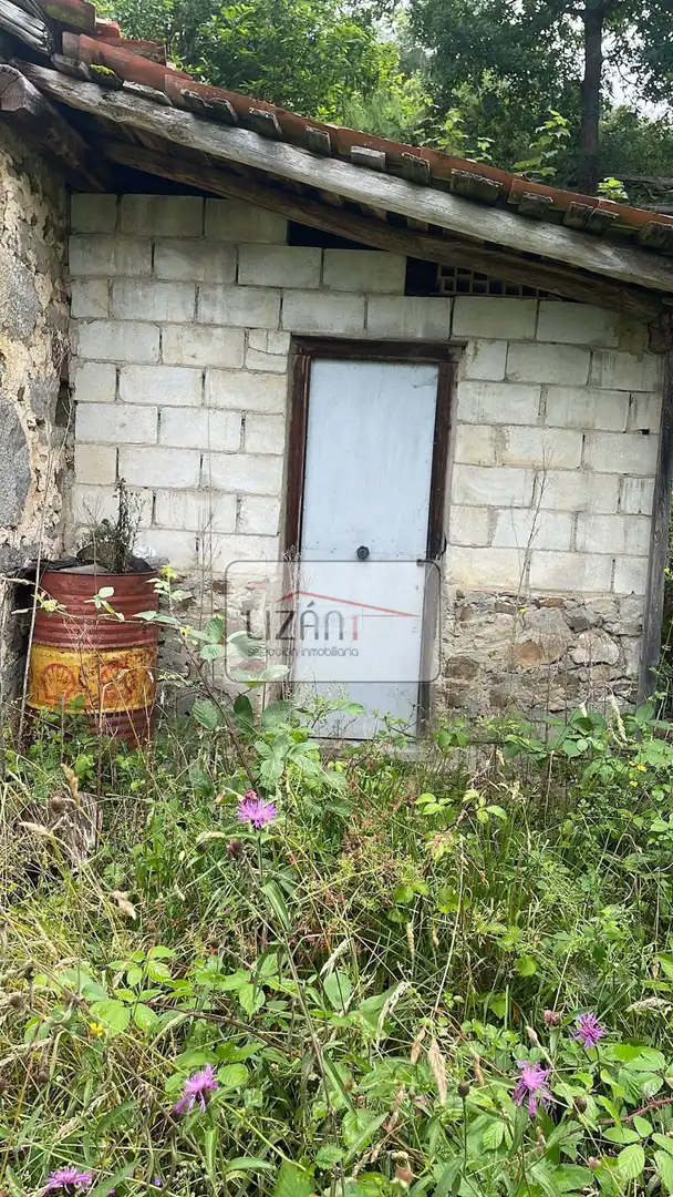 Lands and plots for sale in Aller - P.Valle s/n, imagen 3