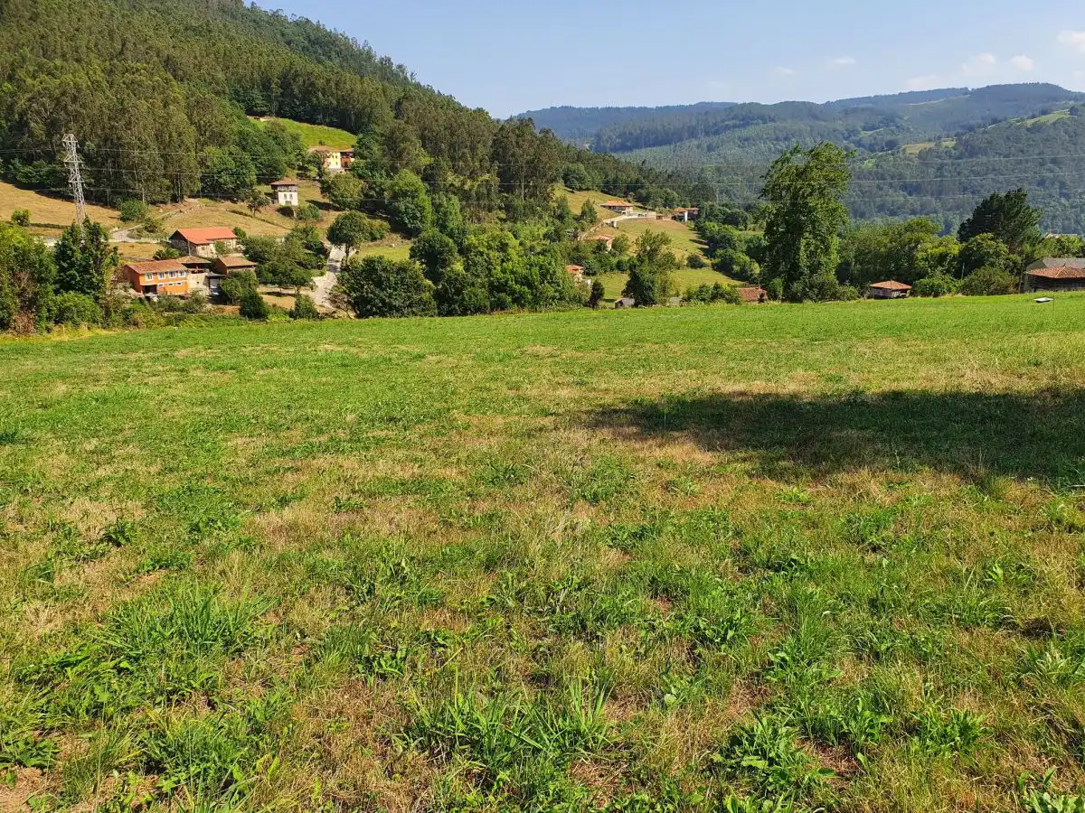Terrenos y solares en venta en Salas, imagen 20