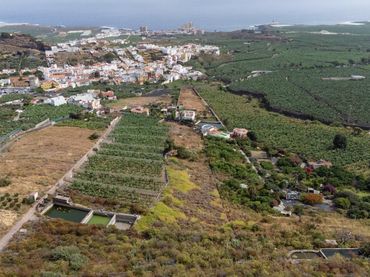 Rural land for sale in Calle C/ Susana. Finca Santiago s/n