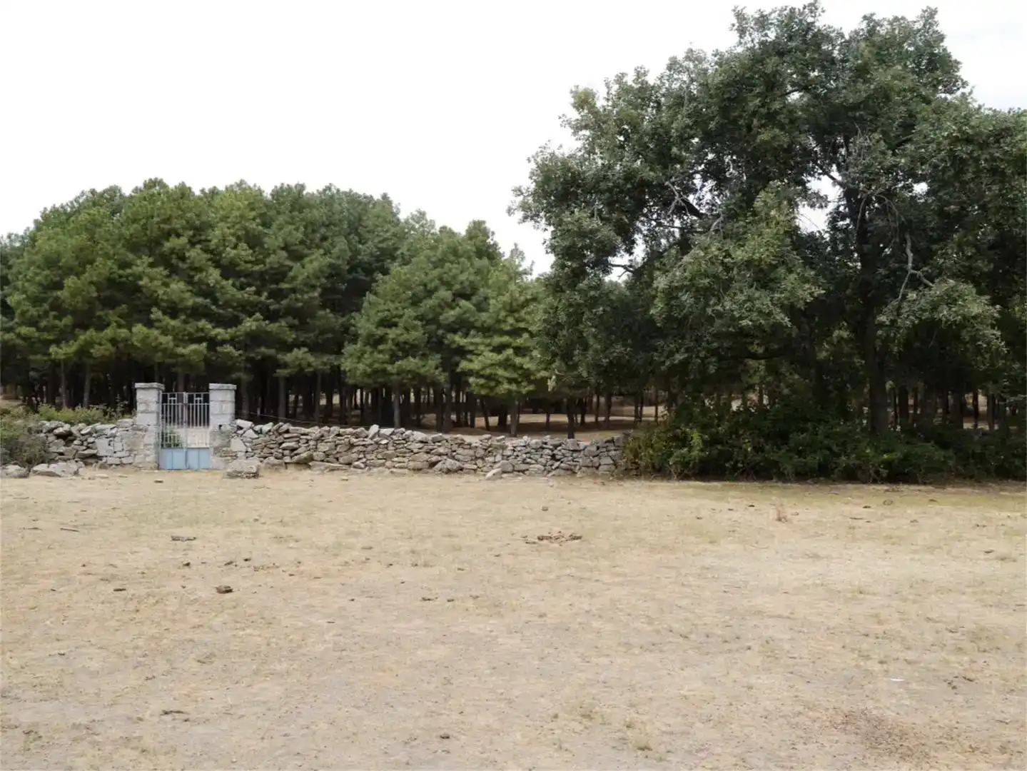 Land for sale in Iglesia - Estación