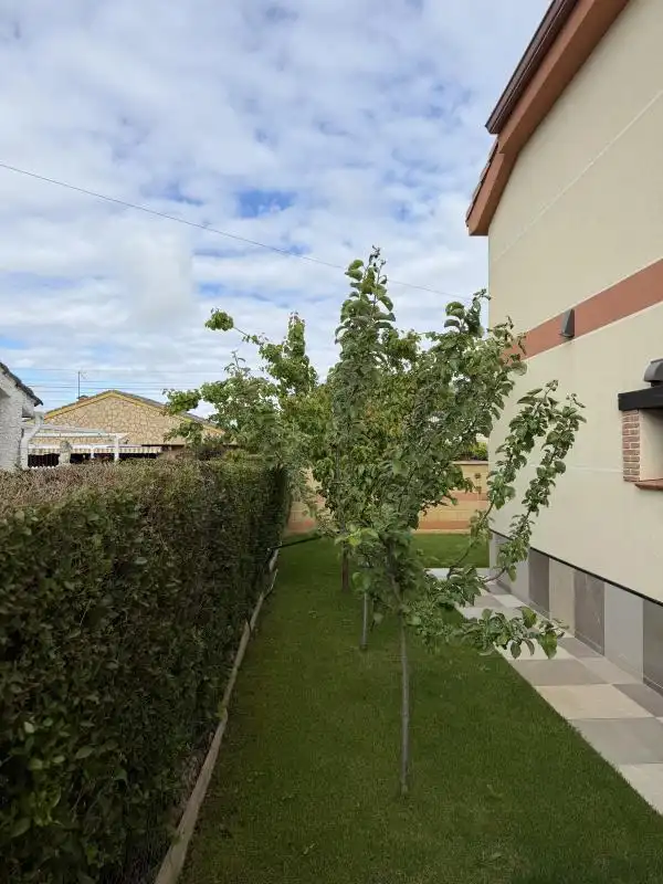 Jardín de Casa o chalet en venta en Trijueque con Aire acondicionado, Calefacción y Jardín privado