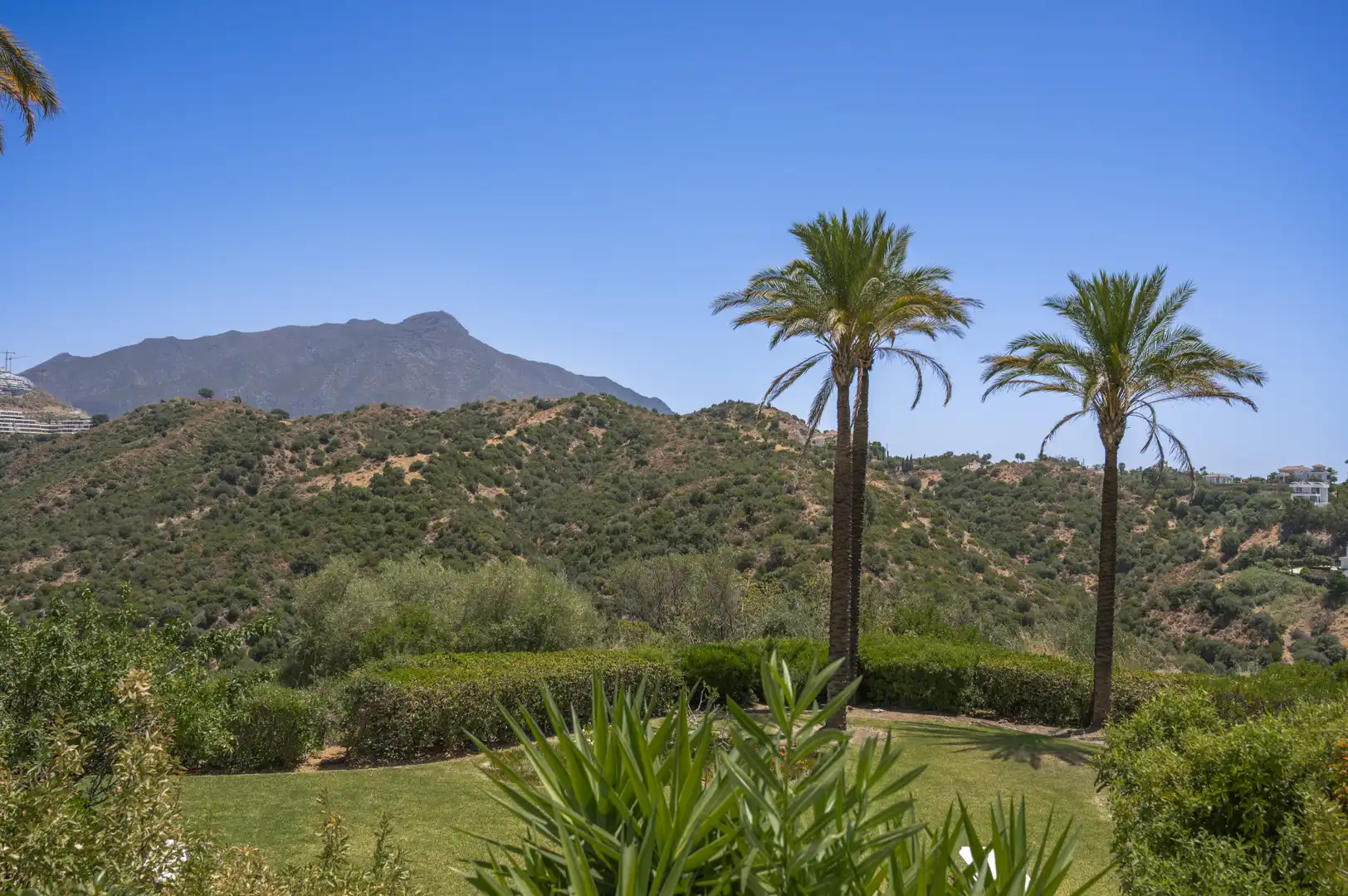 Jardí de Planta baixa en venda en Benahavís amb Aire condicionat, Terrassa i Piscina