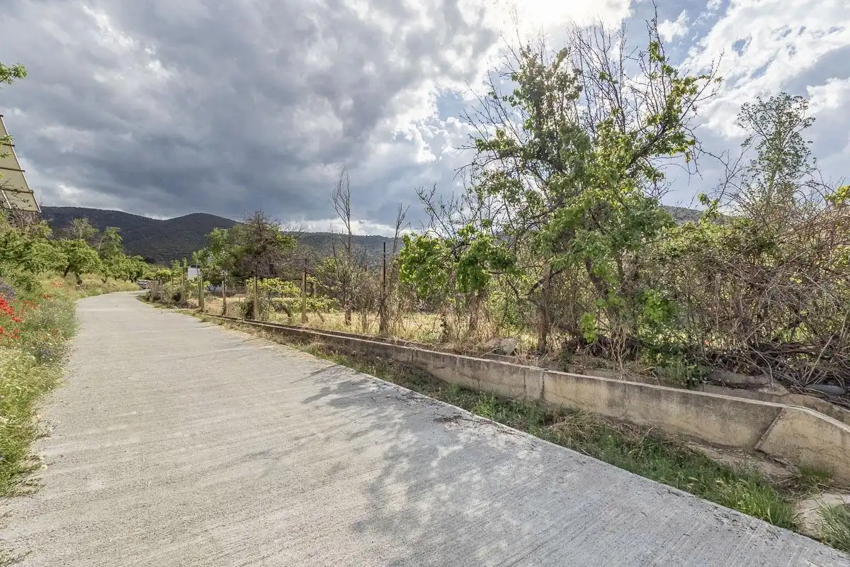 Finca rústica en venta en Dólar con Terraza