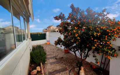 Garden of House or chalet for sale in Villajoyosa / La Vila Joiosa  with Air Conditioner and Terrace