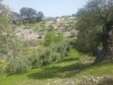 Rustikales Grundstück zum Verkauf in Albaicín