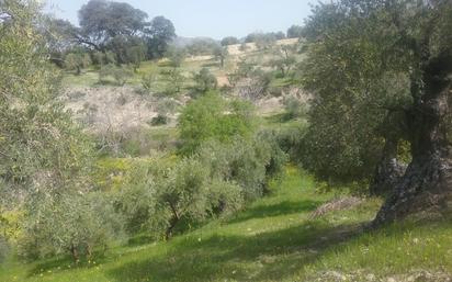 Land for sale in  Granada Capital