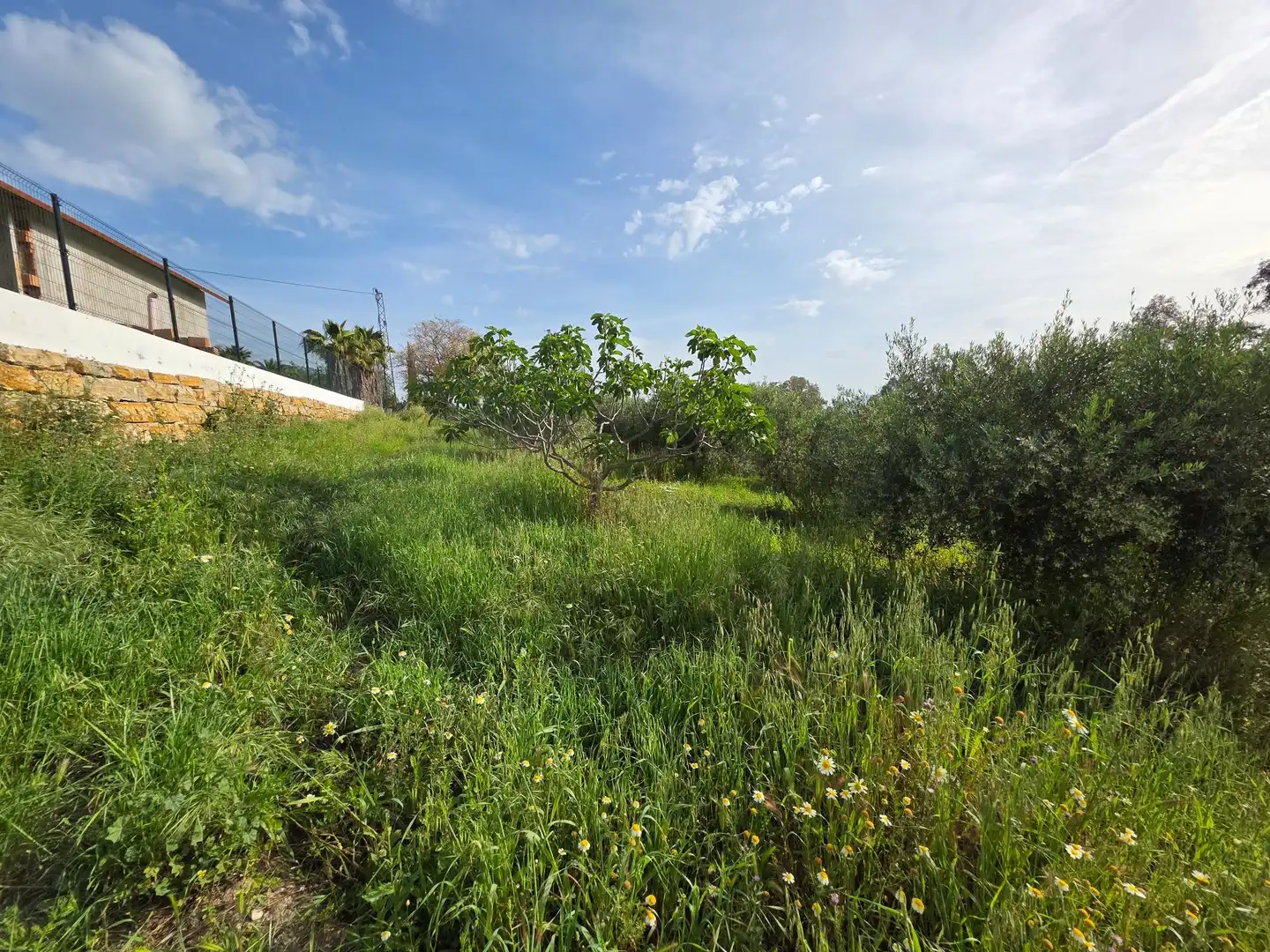 Finca rústica en venta en Alhaurín El Grande