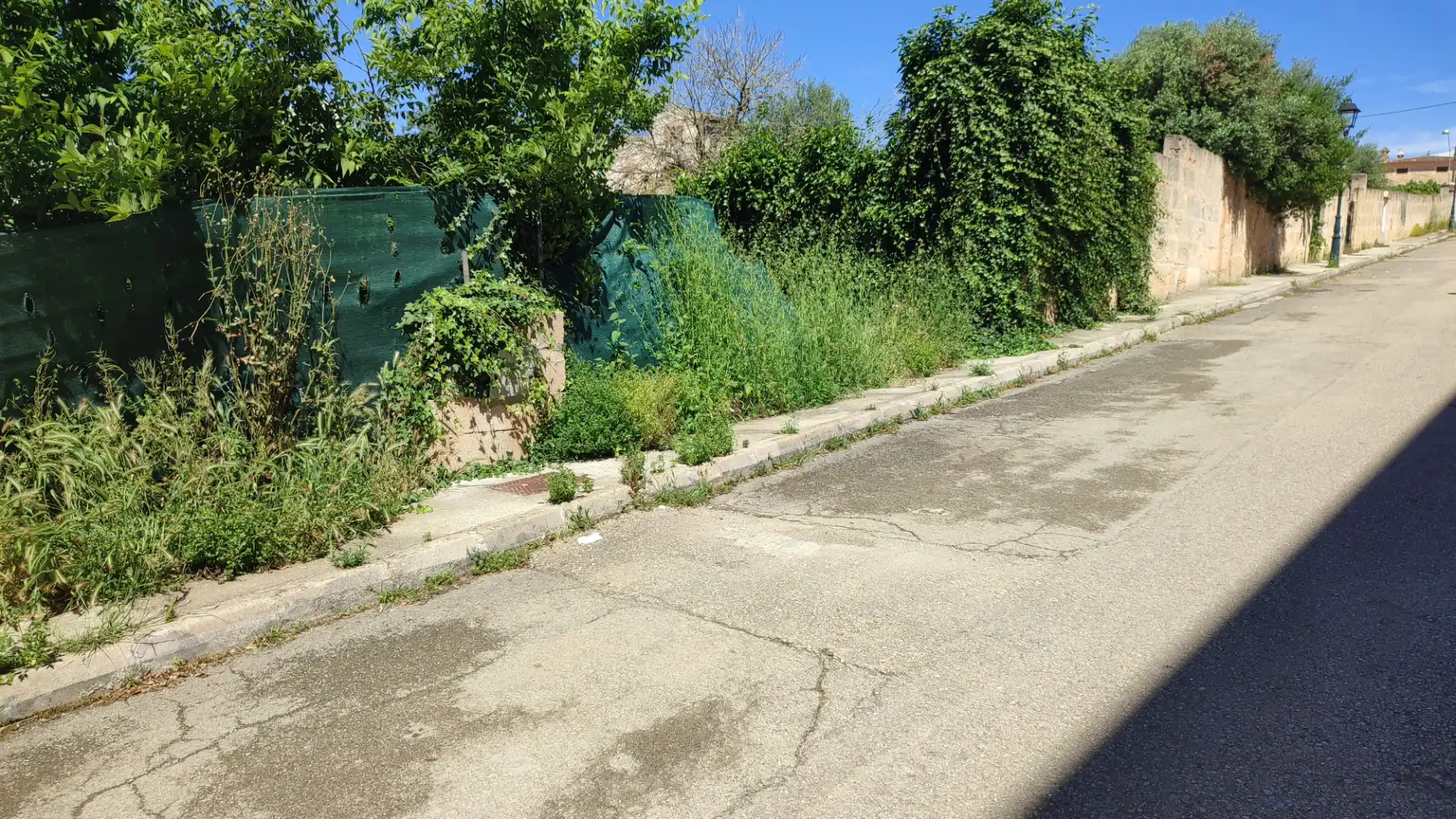 Residential land for sale in Avinguda de ses Escoles 25, imagen 4