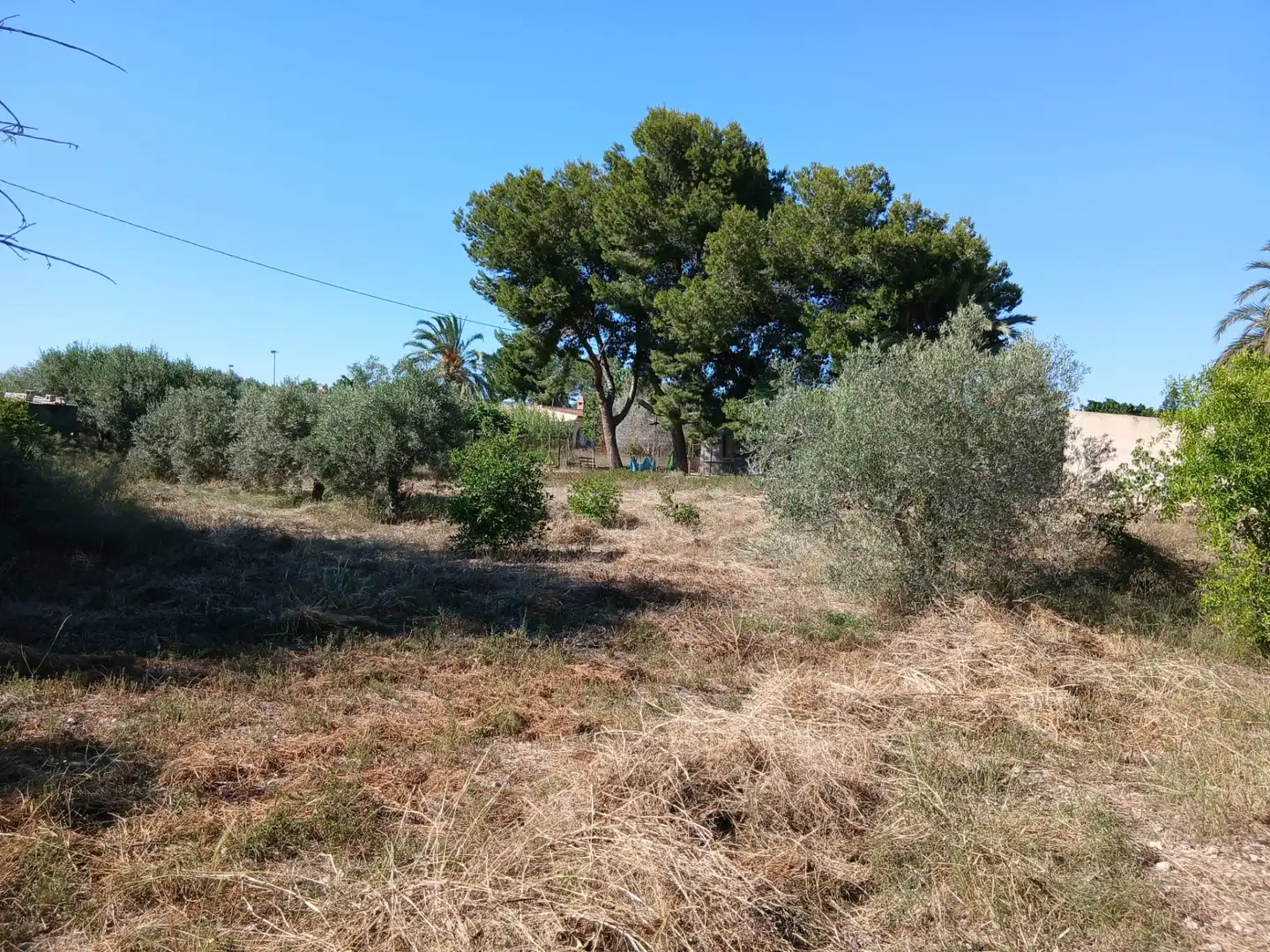 Casa o xalet en venda en Elche / Elx amb Terrassa