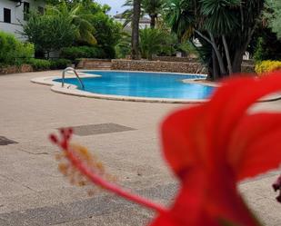 Swimming pool of Flat to rent in  Palma de Mallorca  with Air Conditioner, Terrace and Balcony