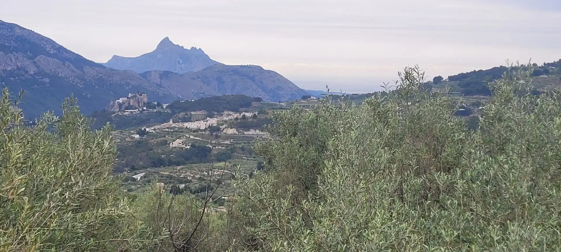 Terrenys i solars en venda a Benifato, imagen 2