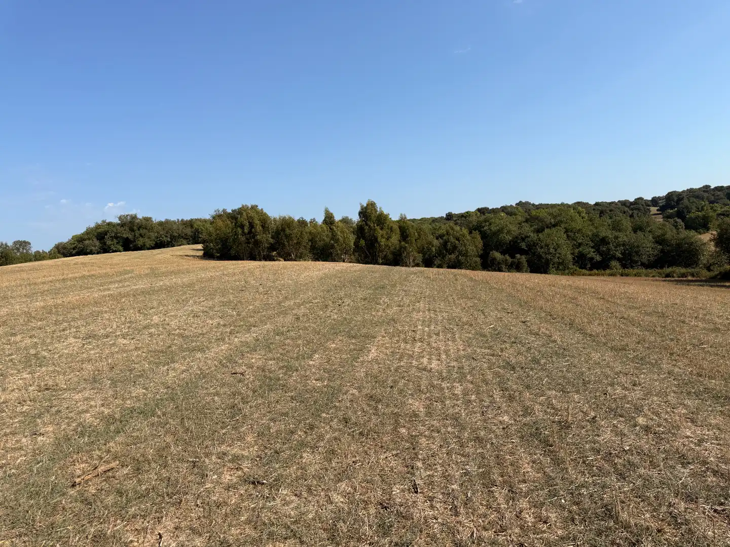 Finca rústica en venda en Vilobí d'Onyar