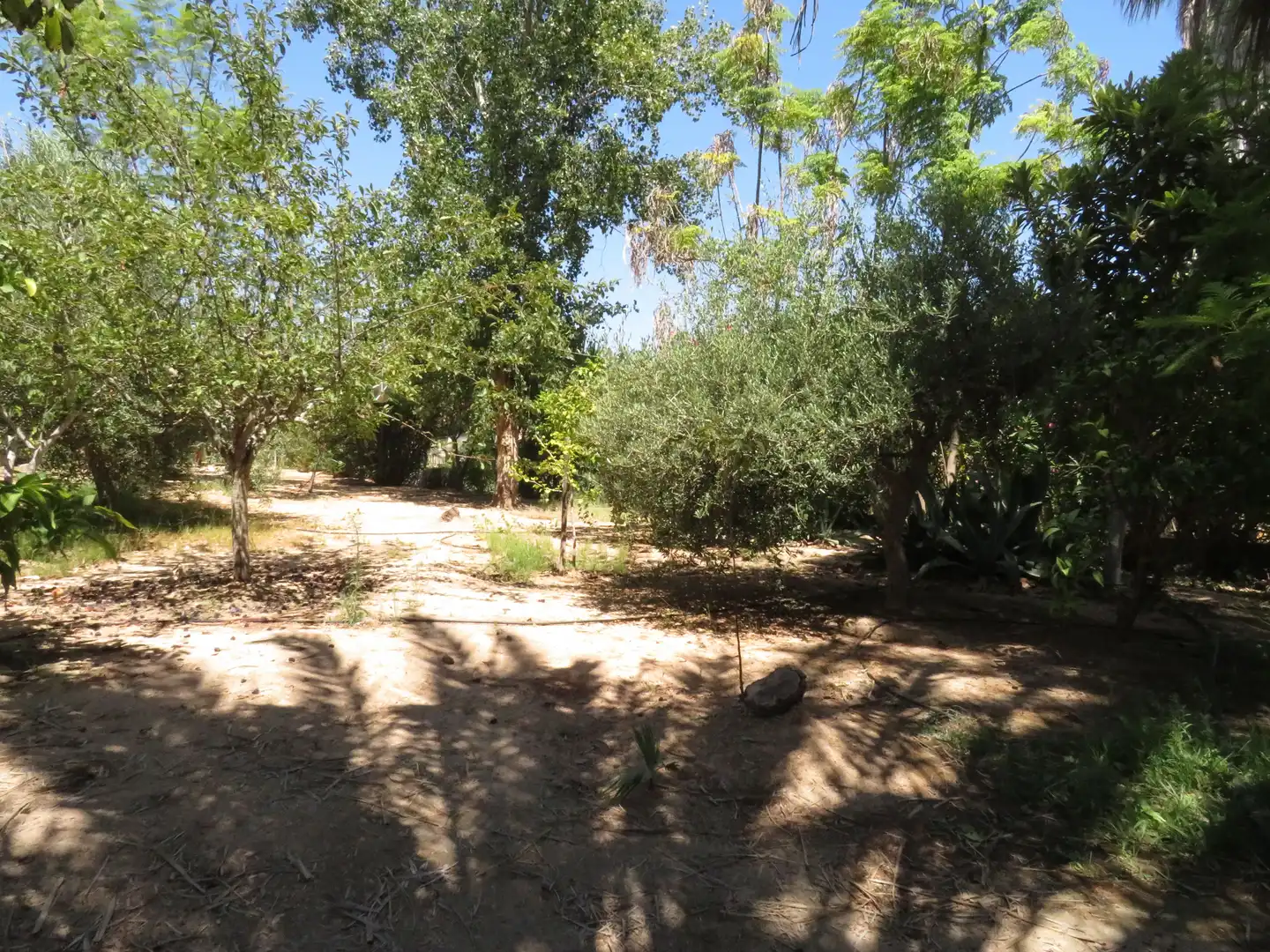 Casa rústica amb piscina en venda a Pasaje los Pepeles, imagen 36