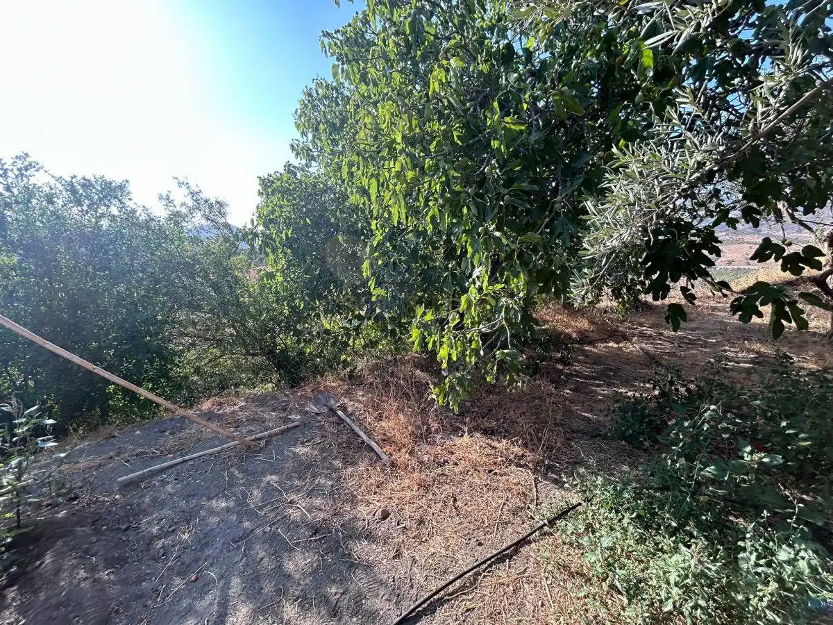 Casa o xalet en venda en Álora amb Calefacció, Terrassa i Traster
