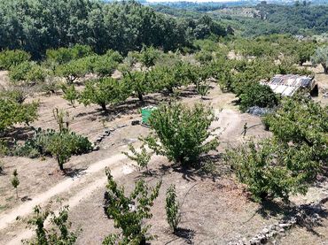 Terreno rustico in vendita a Calle Ramón y Cajal 22