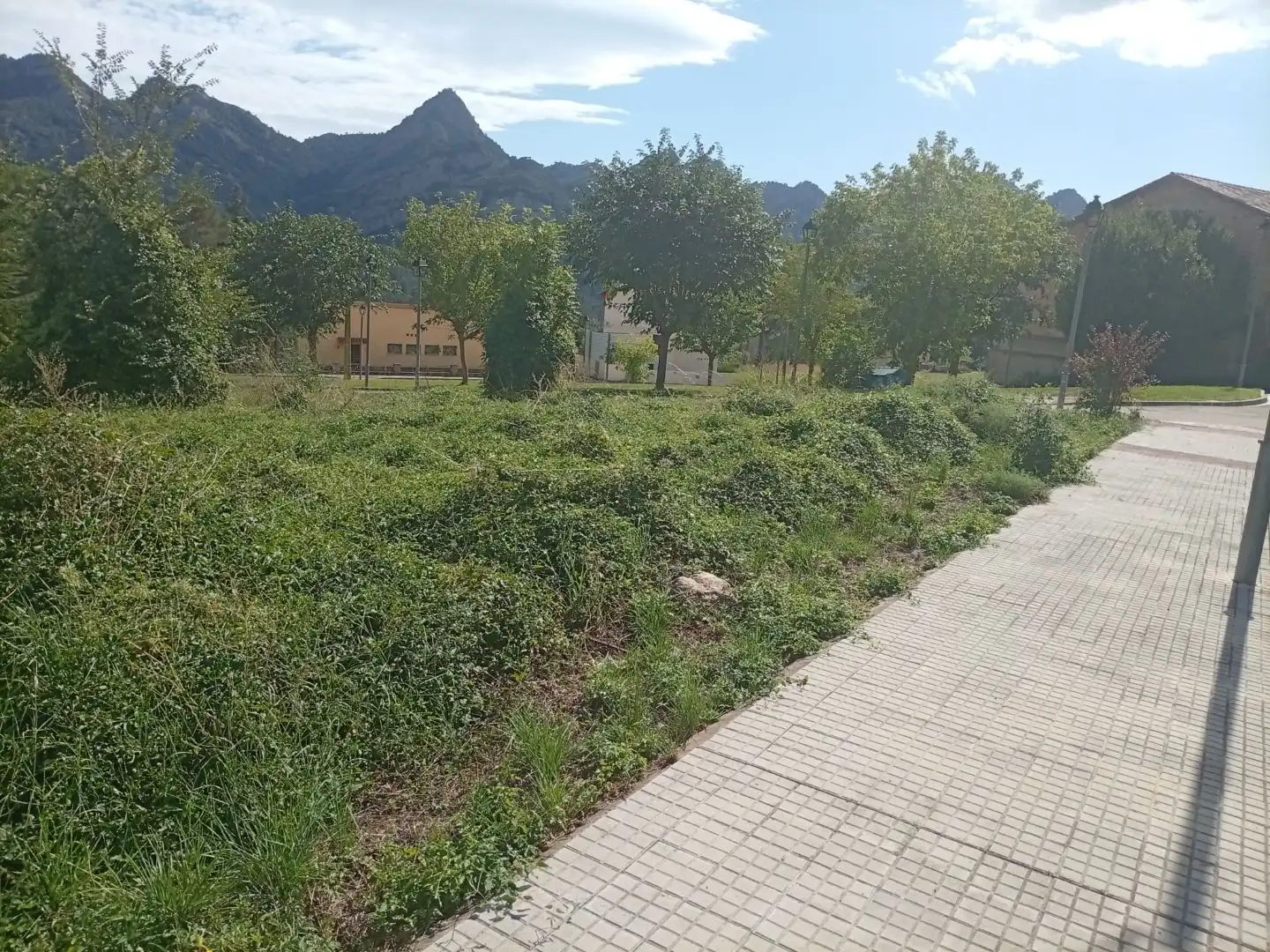 Residential land for sale in Carrer Castell de Roset 18, imagen 2