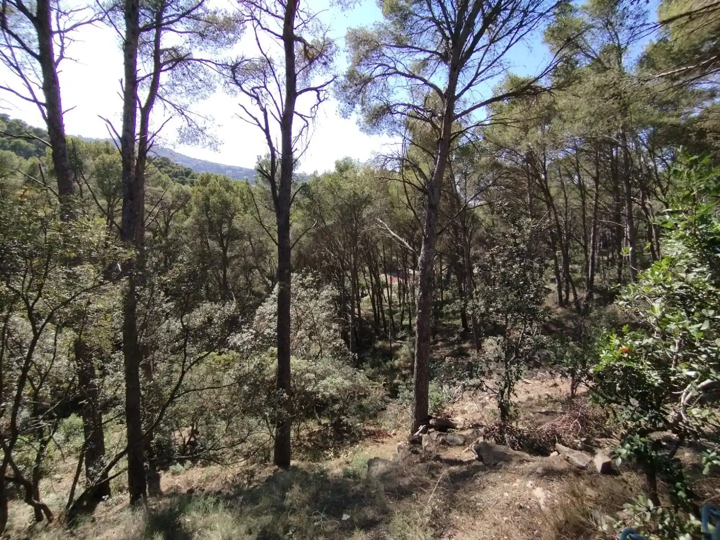 Residencial en venta en Begur