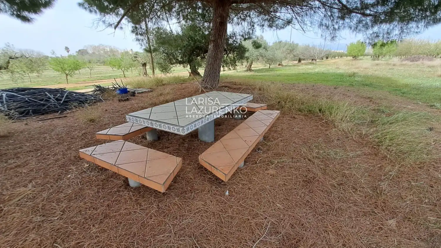 Finca rústica en venta en Constantí
