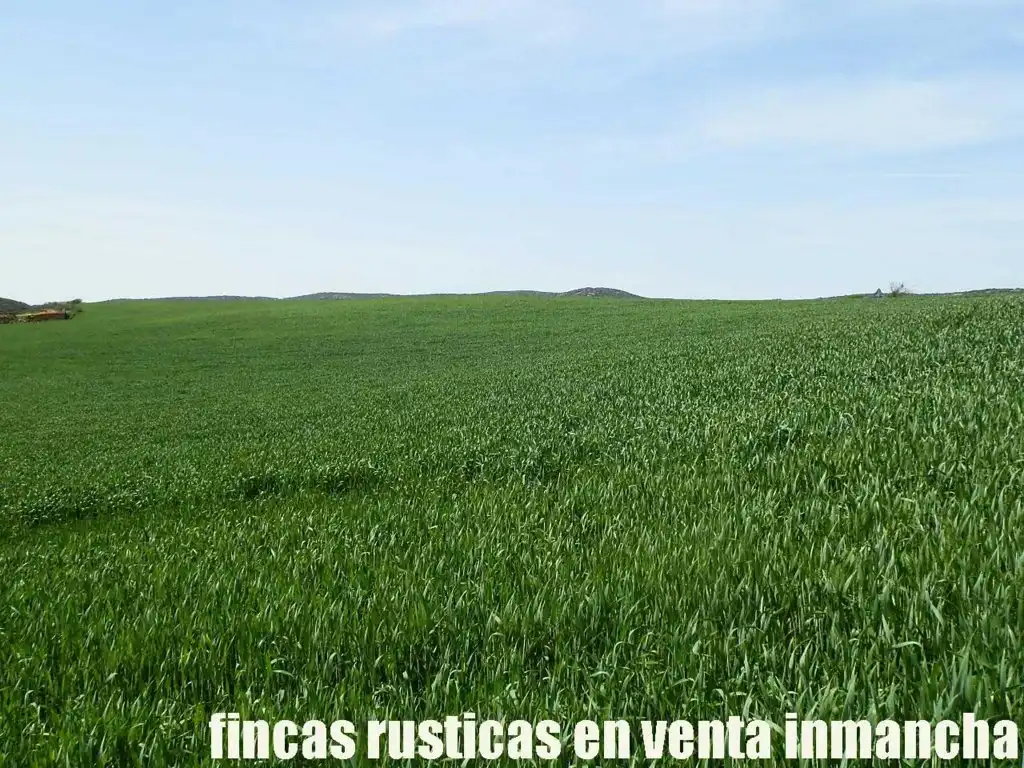 Terreno rustico in vendita a Centro - Plaza Mayor, imagen 10