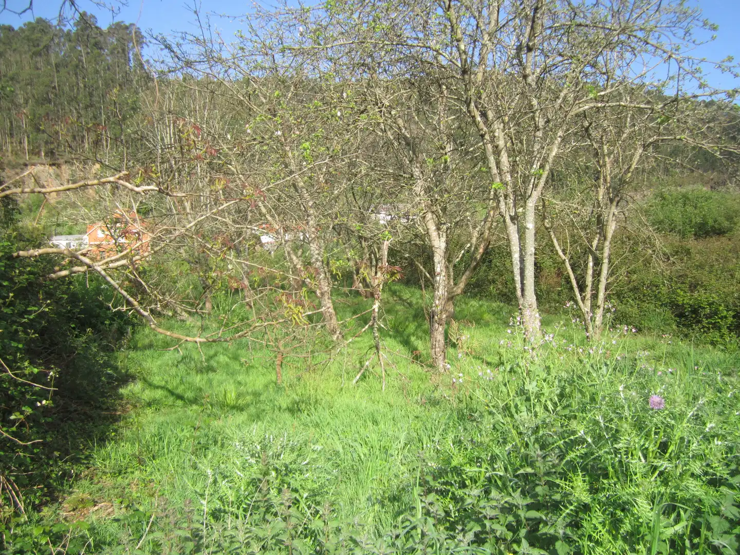 Terreno en venta en Valdoviño