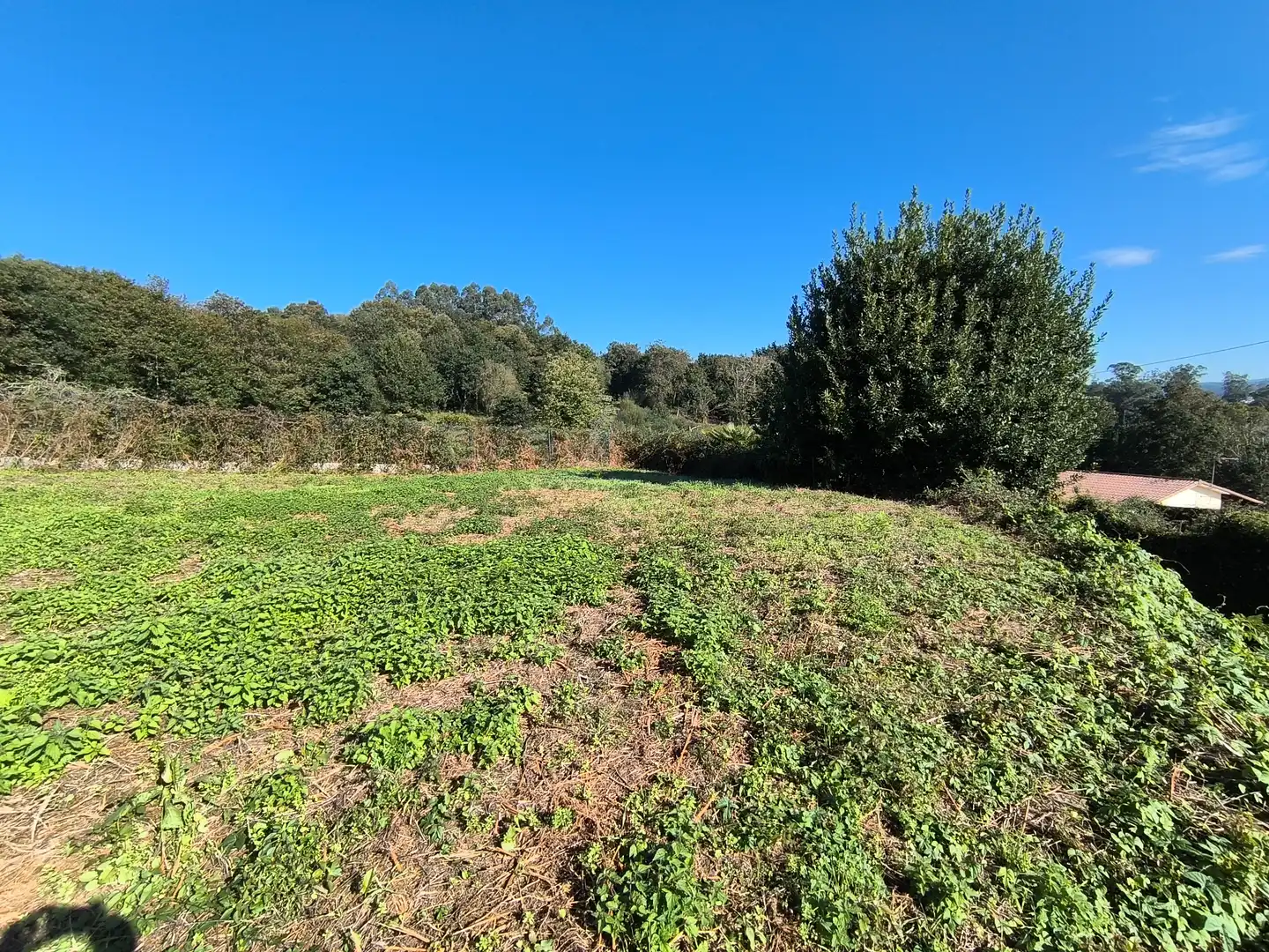 Terreno residencial en venta en Bergondo, imagen 16