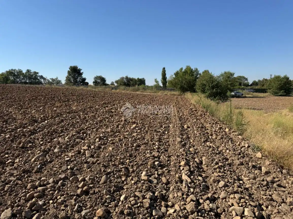 Terreny rústic en venda a Fuente El Saz de Jarama, imagen 12